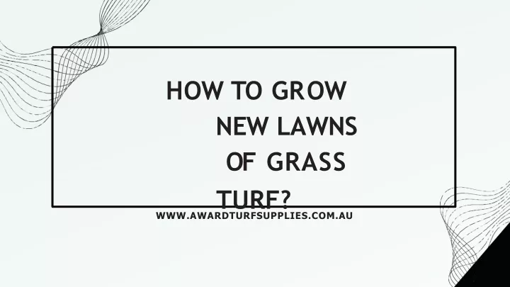 h o w t o g r o w n e w lawns of grass turf