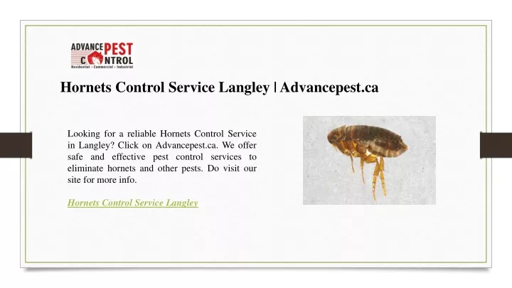 hornets control service langley advancepest ca