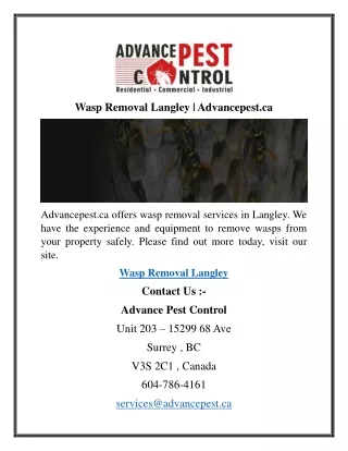 Wasp Removal Langley  Advancepest.ca