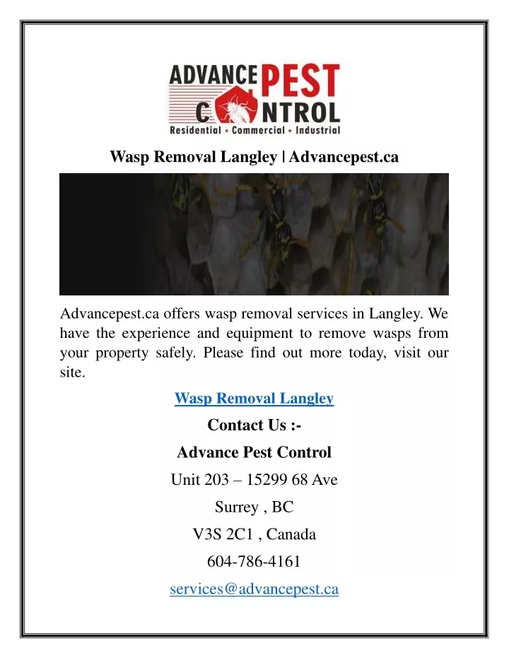 wasp removal langley advancepest ca