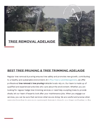 Tree Pruning Adelaide