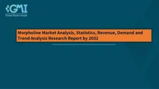 Morpholine Market Outlook and Statistics, Segmentation and Forecast to 2032