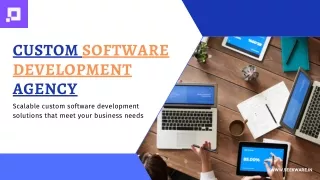 Tailored Solutions: Custom Software Development Agency