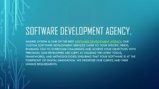 Software development agency