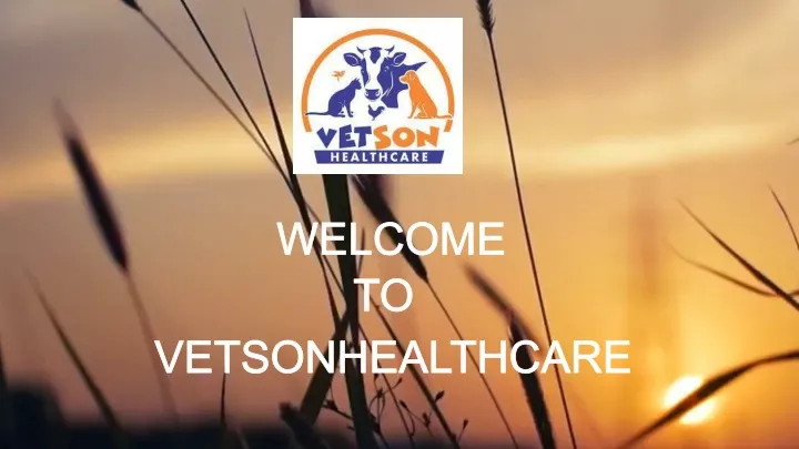 welcome to vetsonhealthcare