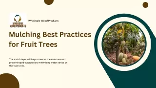 Mulching Best Practices for Fruit Trees
