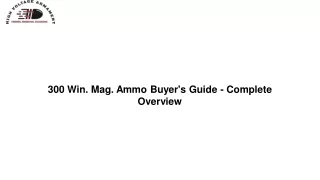 300 win mag ammo buyer s guide complete overview