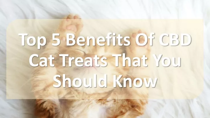 top 5 benefits of cbd cat treats that you should know