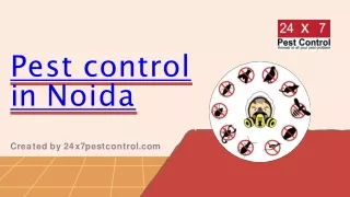 Pest control in Noida
