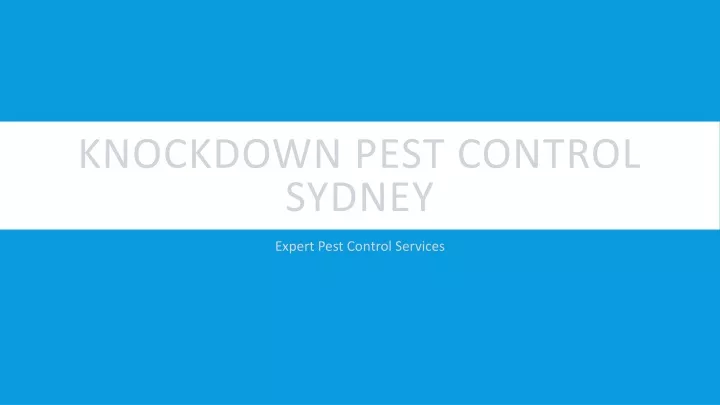 knockdown pest control sydney