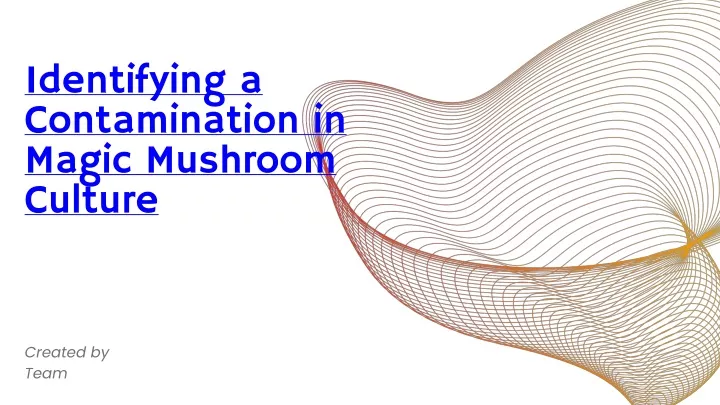 identifying a contamination in magic mushroom