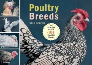 Kindle (online PDF) Poultry Breeds: Chickens, Ducks, Geese, Turkeys: The Pocket