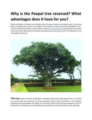 Why is the Peepal tree reversed
