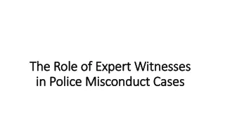 The Role of Expert Witnesses in Police Misconduct Cases