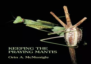 Download (PDF) Keeping the Praying Mantis: Mantodean Captive Biology, Reproducti