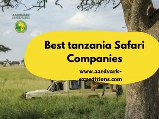 Best tanzania Safari Companies