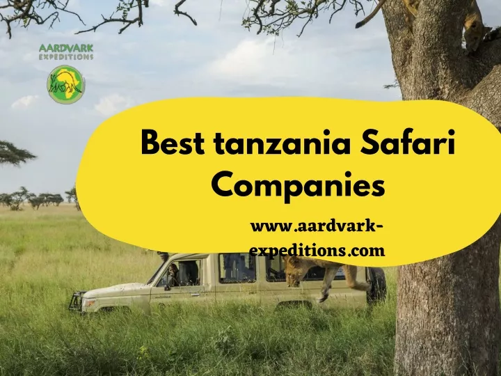 best tanzania safari companies