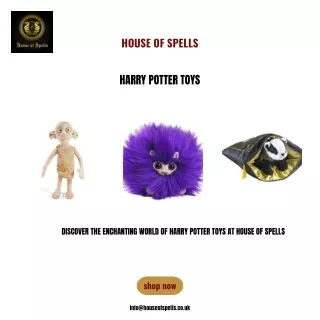 Harry Potter Toys