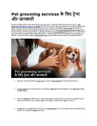 Pet grooming services के लिए ट्रेनर और जानकारी