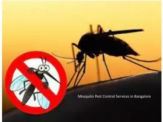 Mosquito Pest Control Services in Bangalore