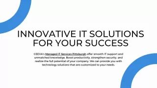 CEEVA: Superior IT Services Pittsburgh
