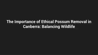 The Importance of Ethical Possum Removal in Canberra_ Balancing Wildlife
