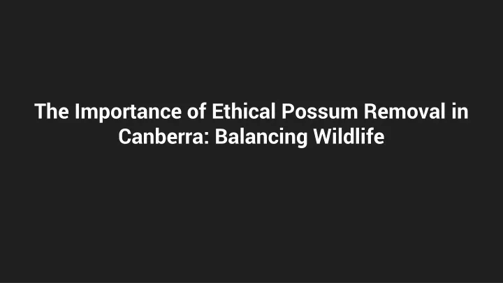 the importance of ethical possum removal in canberra balancing wildlife