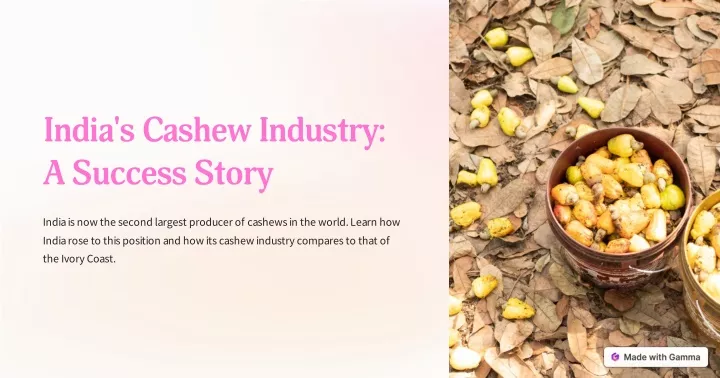 india s cashew industry a success story