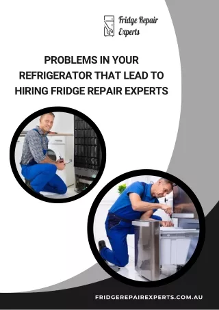 Problems In Your Refrigerator That Lead To Hiring Fridge Repair Experts
