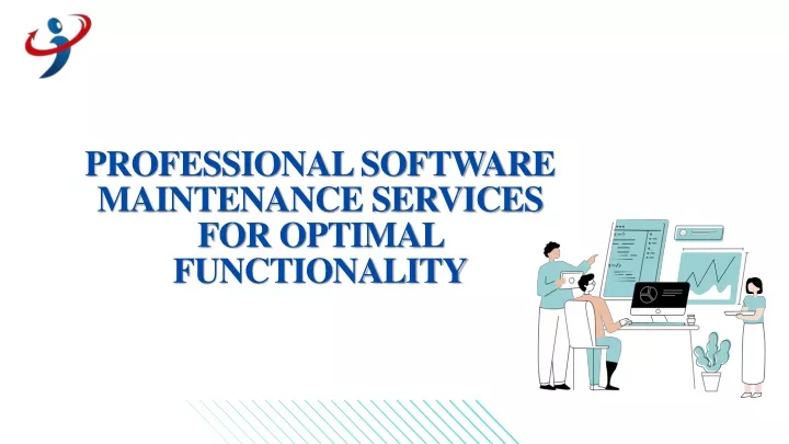 professional software maintenance services