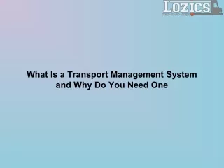 what is a transport management system