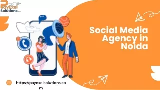 social media agency in noida