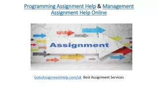 Programming Assignment Help & Management Assignment Help Online