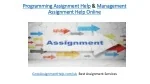 Programming Assignment Help & Management Assignment Help Online - slide 1