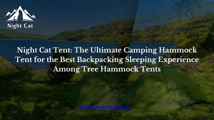 night cat tent the ultimate camping hammock tent