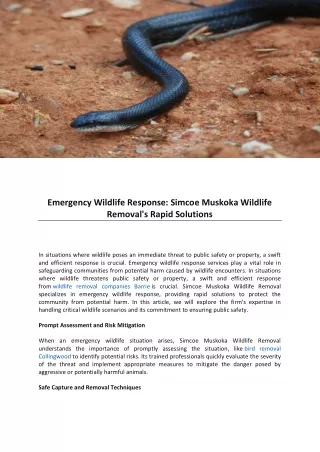 Emergency Wildlife Response Simcoe Muskoka Wildlife Removal's Rapid Solutions
