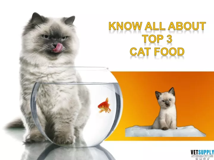 know all about top 3 cat food
