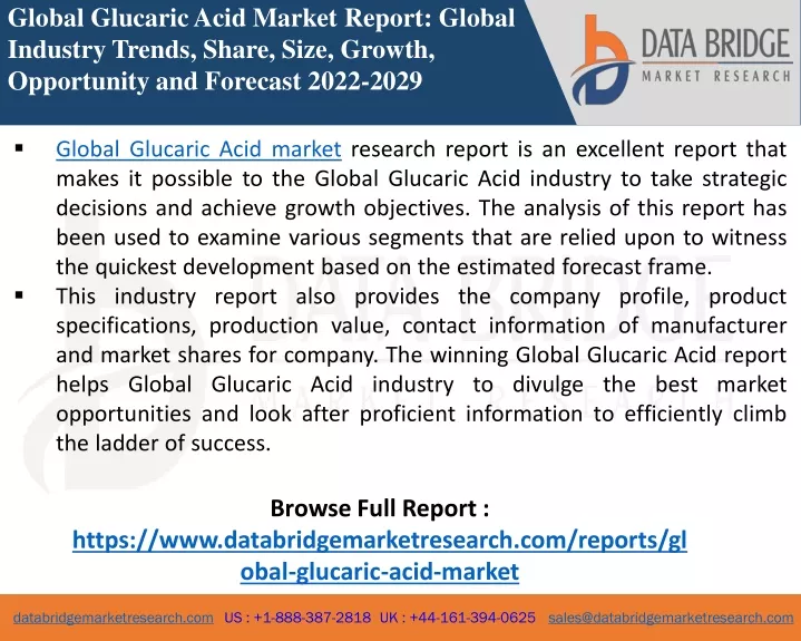 global glucaric acid market report global