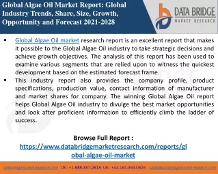 global algae oil market report global industry
