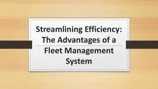 Streamlining Efficiency: The Advantages of a Fleet Management System