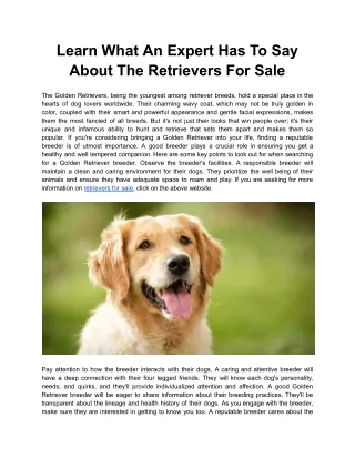 Learn What An Expert Has To Say About The Retrievers For Sale