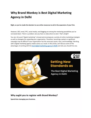 Why Brand Monkey is Best Digital Marketing Agency in Delhi