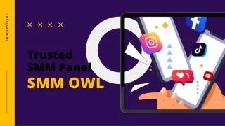 Your Search For Best SMM Panel Ends With SMMOWL