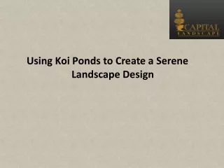 Using Koi Ponds to Create a Serene Landscape Design