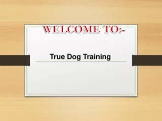 welcome to
