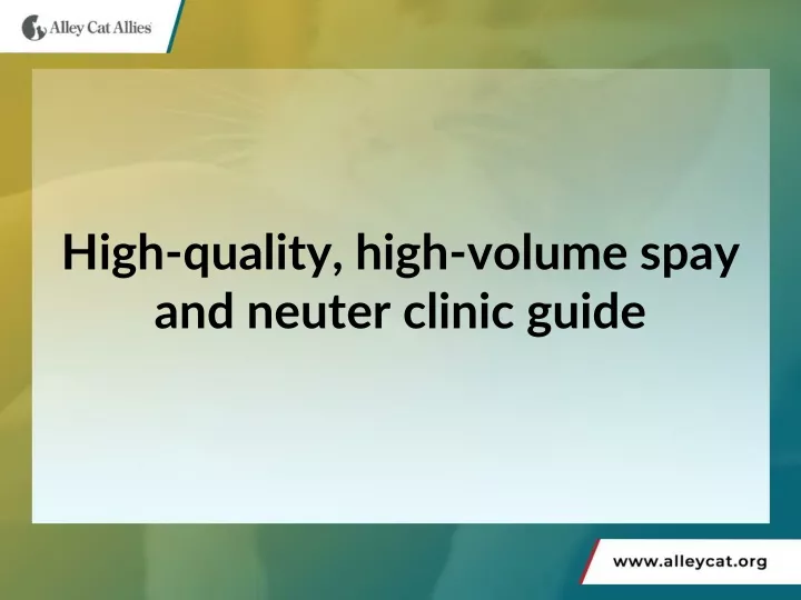 high quality high volume spay and neuter clinic guide