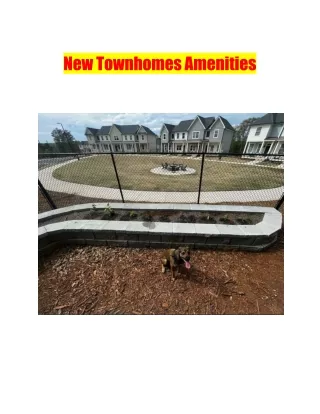 New Townhomes Amenities