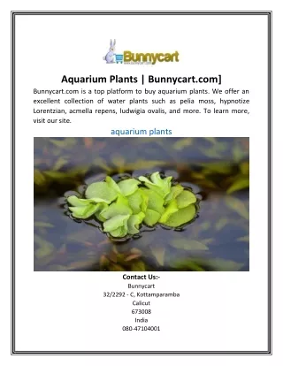 Aquarium Plants Bunnycart.com]