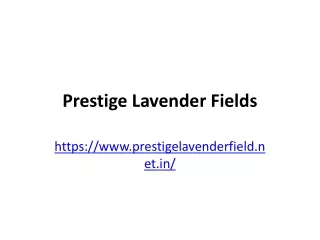 Unlocking Lucrative Opportunities: Prestige Lavender Fields NRI Investment