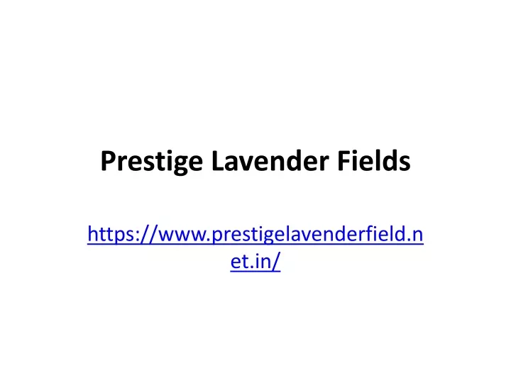 prestige lavender fields